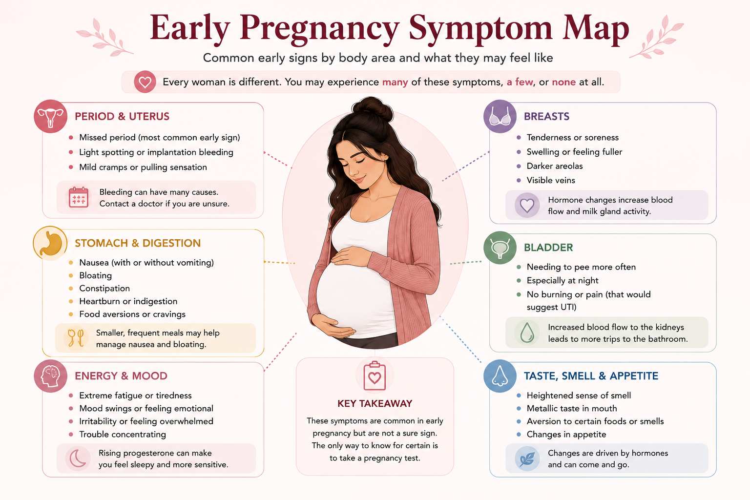 Early pregnancy symptom map showing period breast stomach bladder energy mood taste smell and appetite changes
