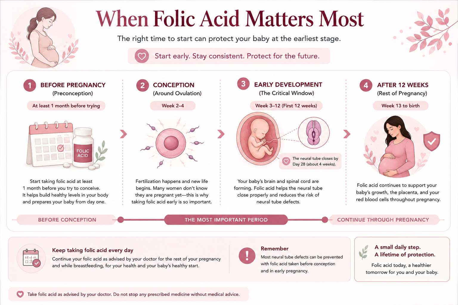 Folic acid timeline from before conception through the first 12 weeks and later pregnancy