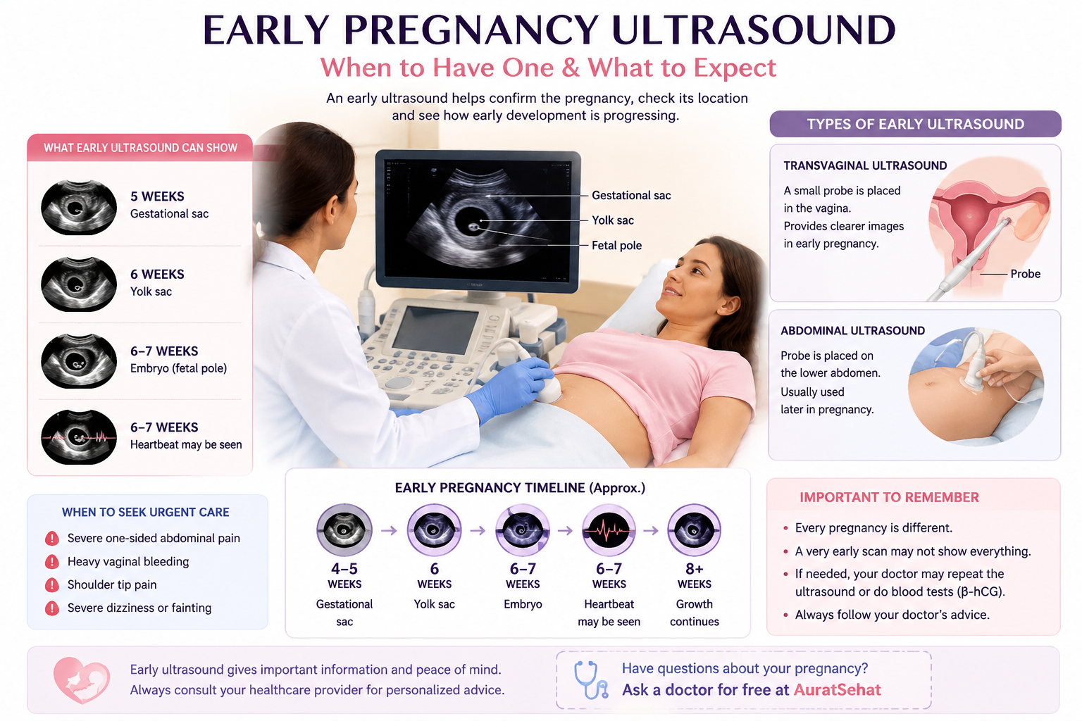 Early pregnancy ultrasound showing early pregnancy development