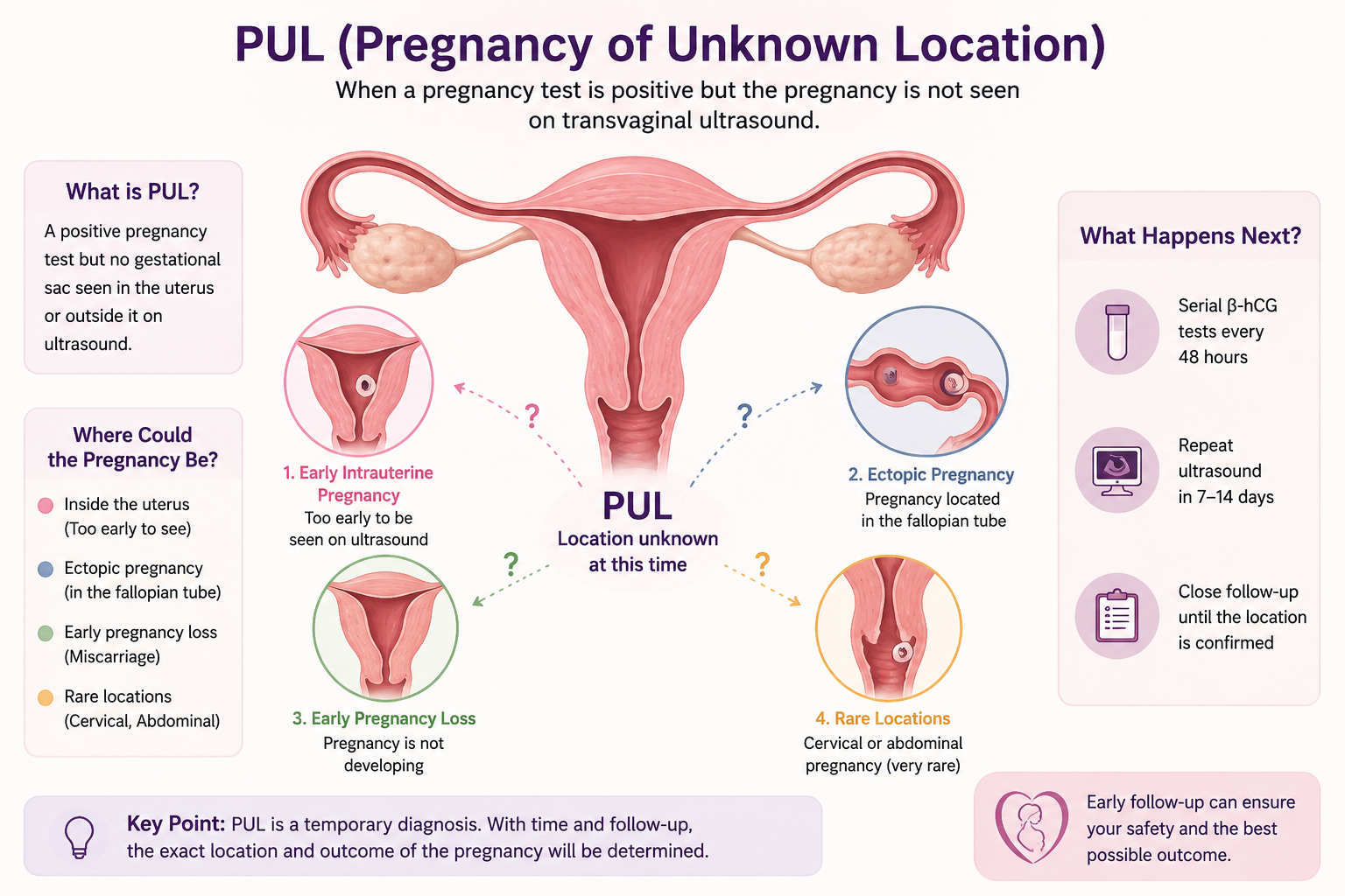 Pregnancy of unknown location explanation showing early pregnancy assessment