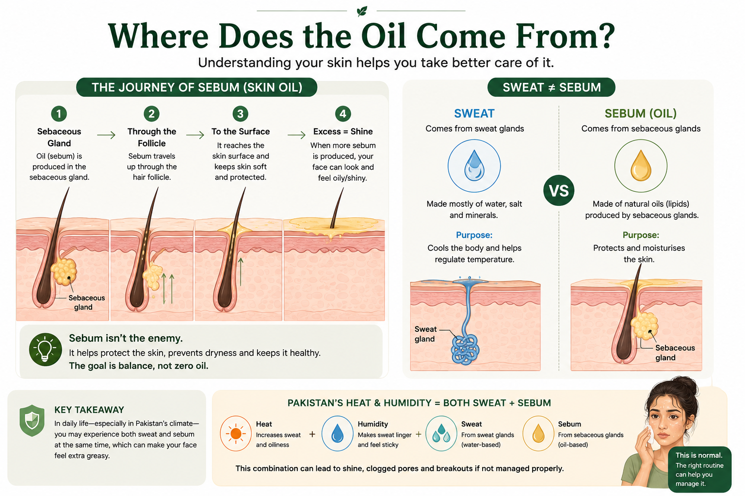 Diagram showing how sebaceous glands produce sebum and explaining the difference between facial oil and sweat.